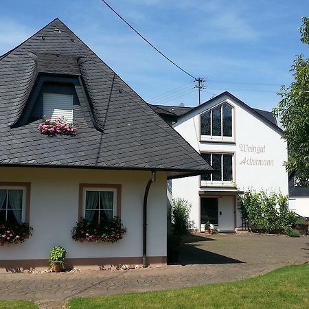 Ferienwohnung Weingut Ackermann Zeltingen-Rachtig Extérieur photo