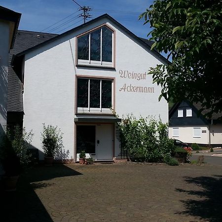 Ferienwohnung Weingut Ackermann Zeltingen-Rachtig Extérieur photo