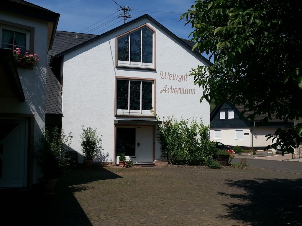 Ferienwohnung Weingut Ackermann Zeltingen-Rachtig Extérieur photo